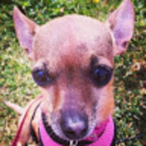 Meet your Posher, Omar